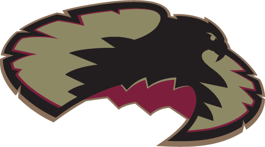 Denver Pioneers 1999-2006 Secondary Logo iron on transfers for fabric